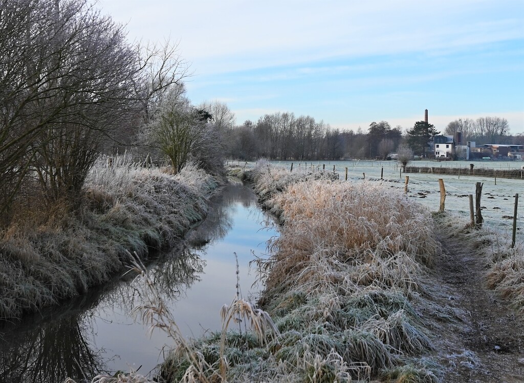 /images/tuchwerk/articles/Station 1 Wildbach1 .JPG