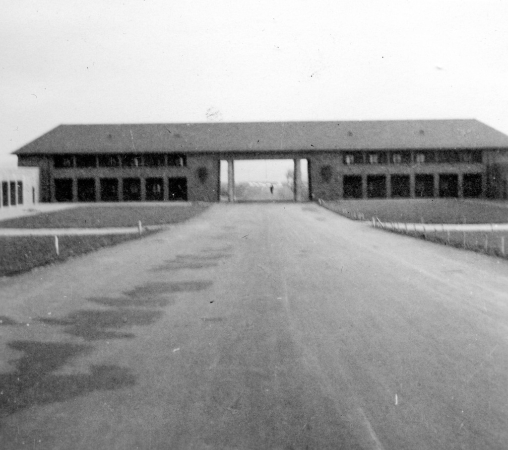 /images/vogelsang/articles/VIP002875.jpg